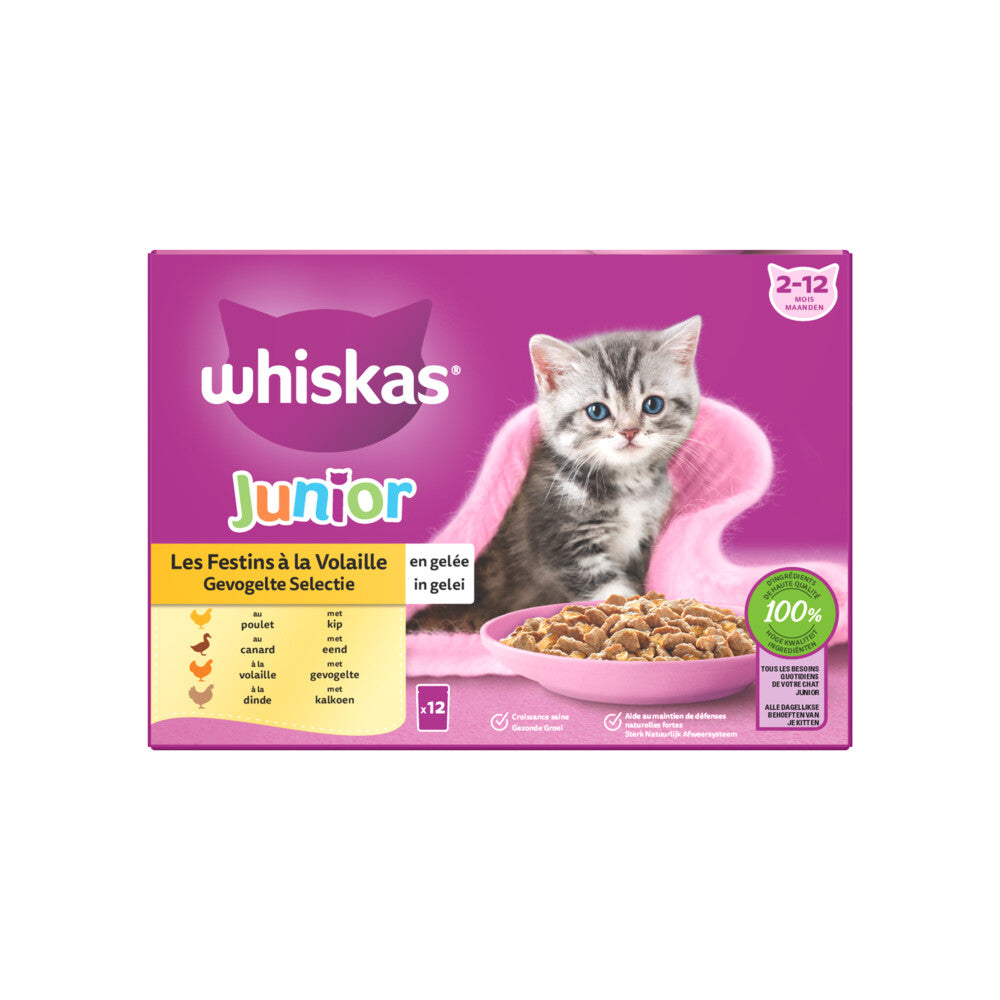 WHISKAS® Junior 2m-12m Gevogelte Selectie in Gelei 12x85g