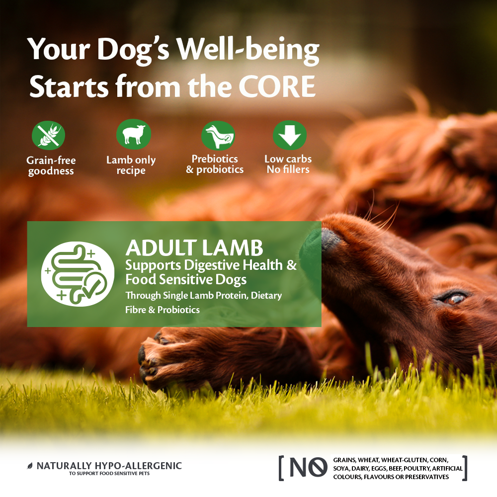 Graanvrij Brokjes Adult Lamb All Breeds