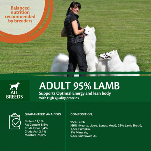 95% meat, Adult Lam met Pompoen 400g