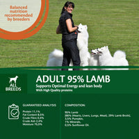 95% meat, Adult Lam met Pompoen 400g