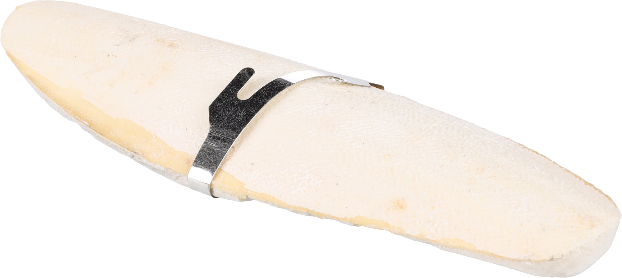 SEPIA SCHELP BECCO 15CM 30GR PREMIUM 12 stuk