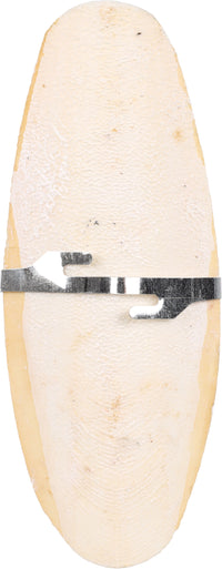 SEPIA SCHELP BECCO 15CM 30GR PREMIUM 12 stuk