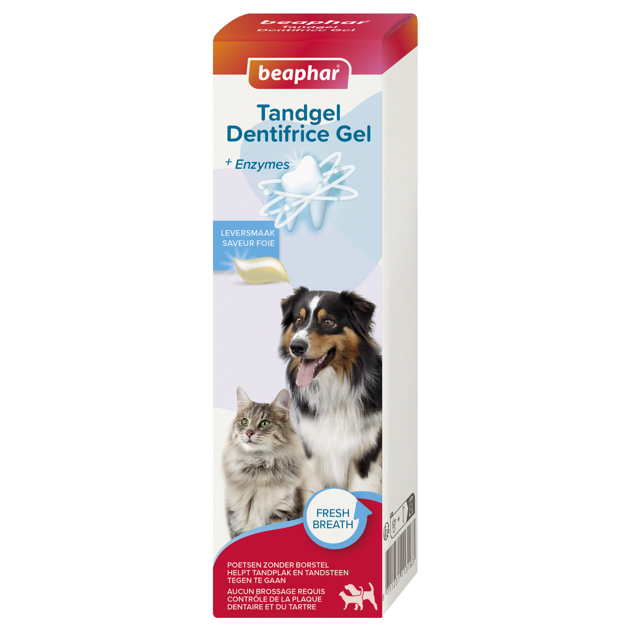 Tandgel +enzymes 100g