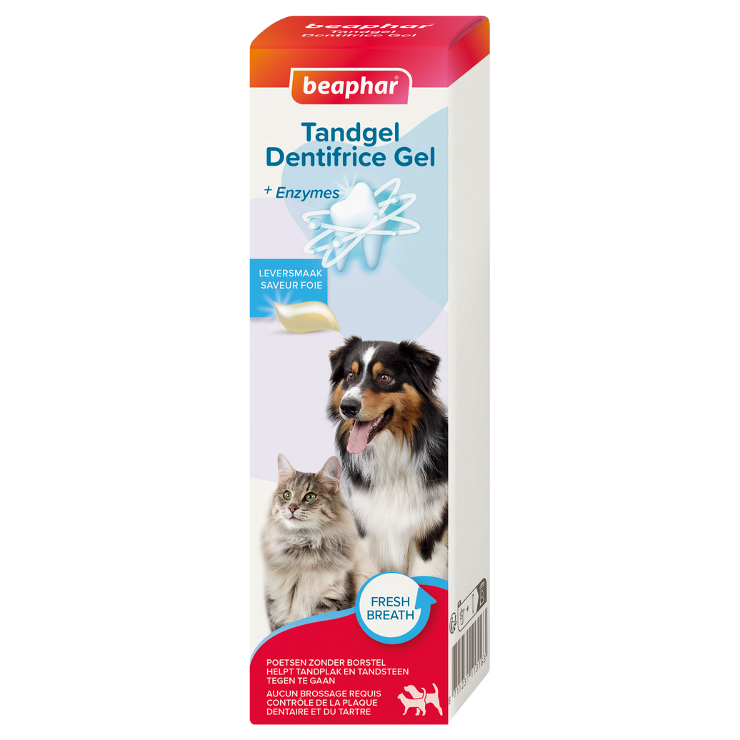 Gel dentaire 100g 