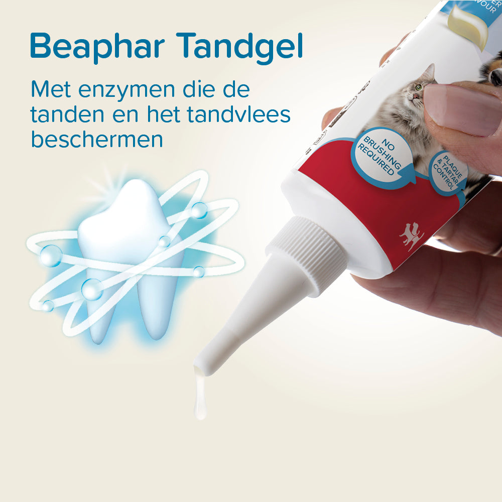 Tandgel +enzymes 100g