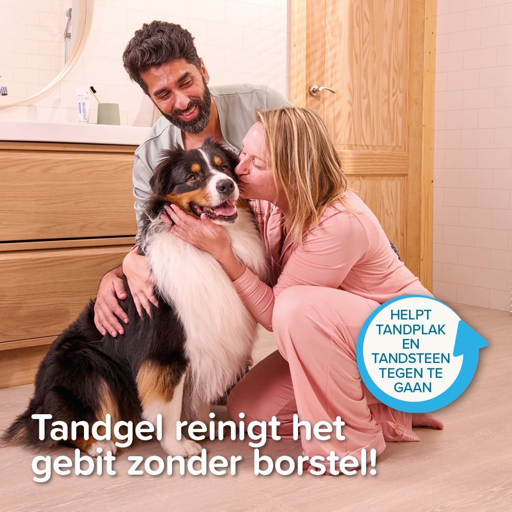Tandgel +enzymes 100g