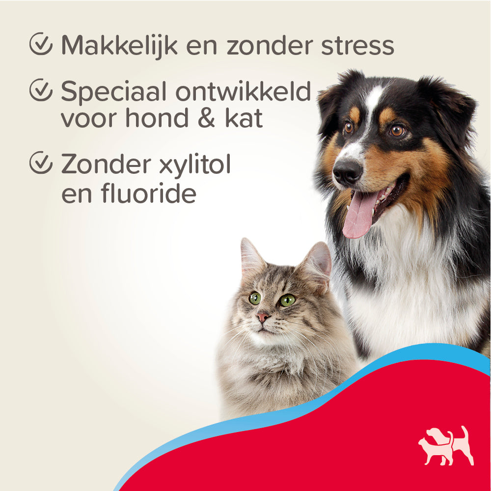 Tandgel +enzymes 100g