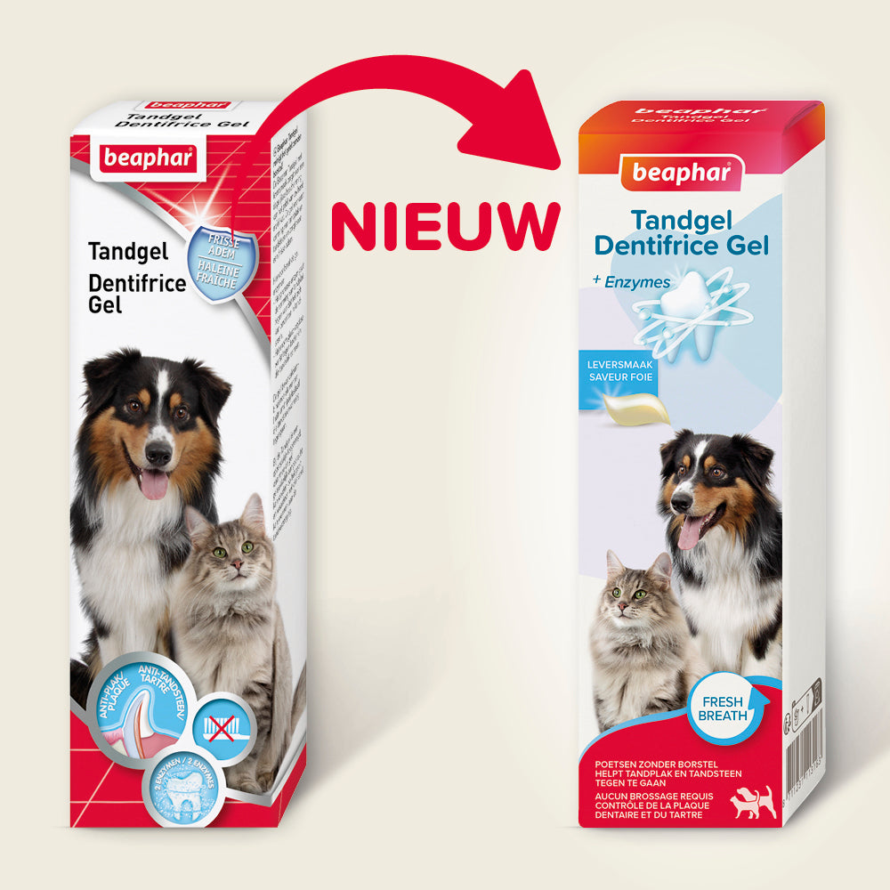 Tandgel +enzymes 100g