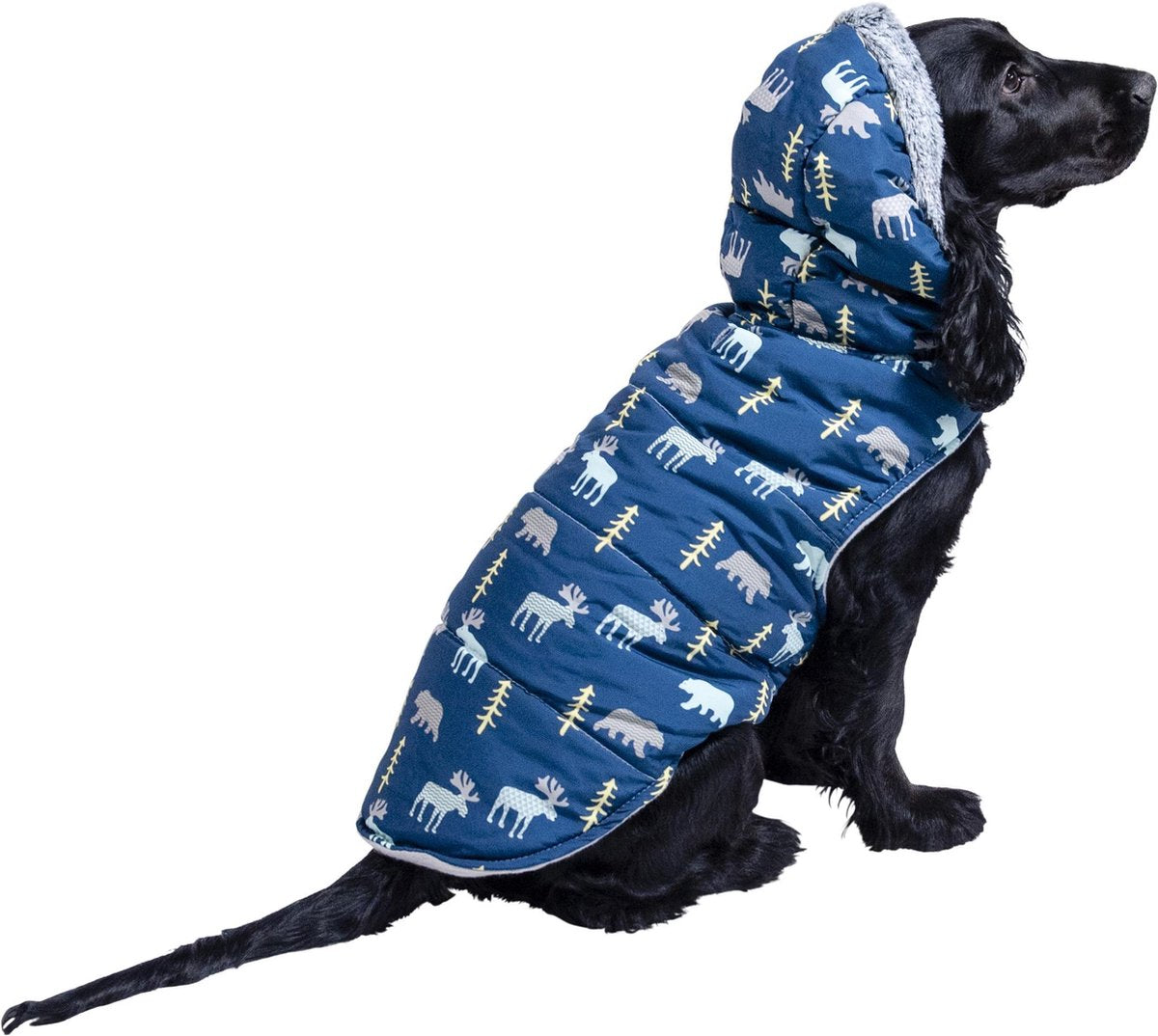 JV DOGWALK Jas Dieren Blauw