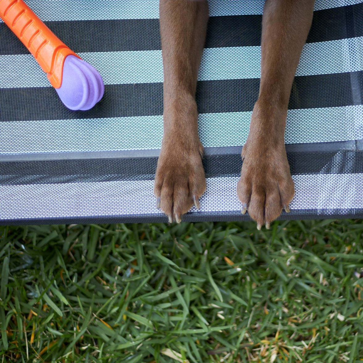 Extreme Play Dog Chew Stick - Large - 30cm drijft