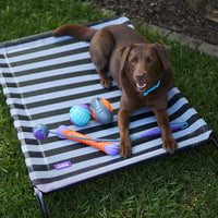 Extreme Play Dog Chew Stick - Large - 30cm drijft