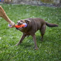 Extreme Play Dog Chew Stick - Large - 30cm drijft