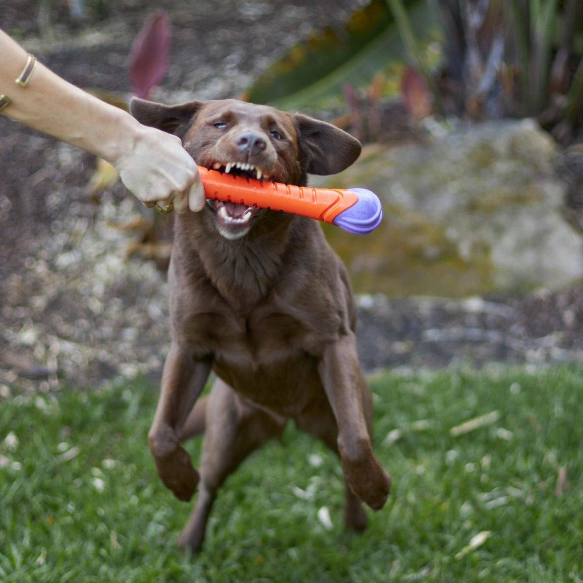 Extreme Play Dog Chew Stick - Large - 30cm drijft