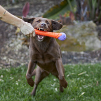 Extreme Play Dog Chew Stick - Large - 30cm drijft