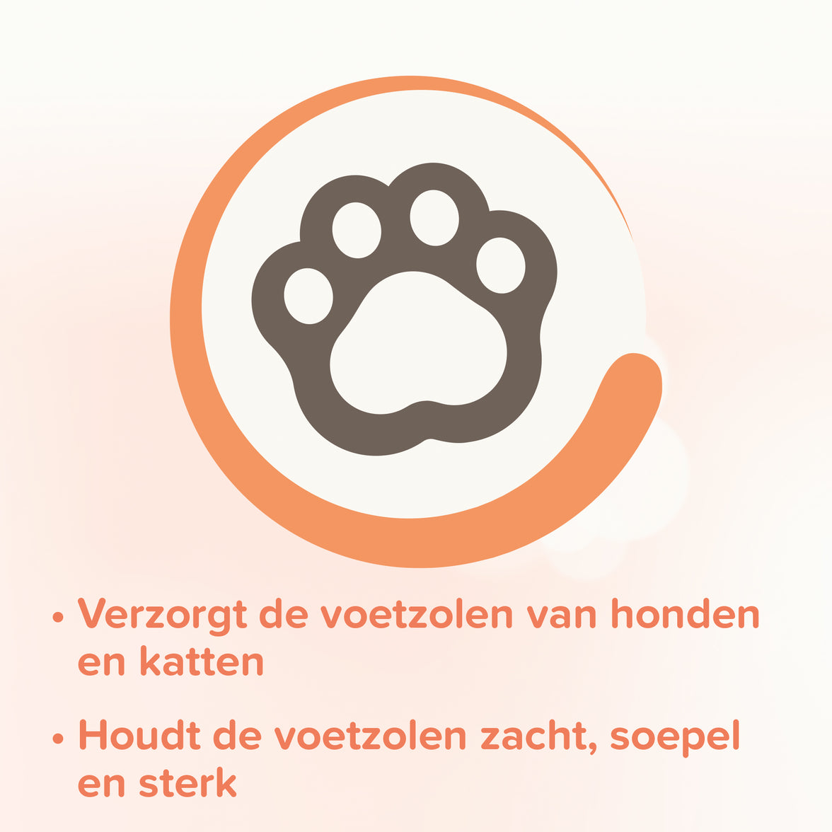 Voetzolenspray 150ml