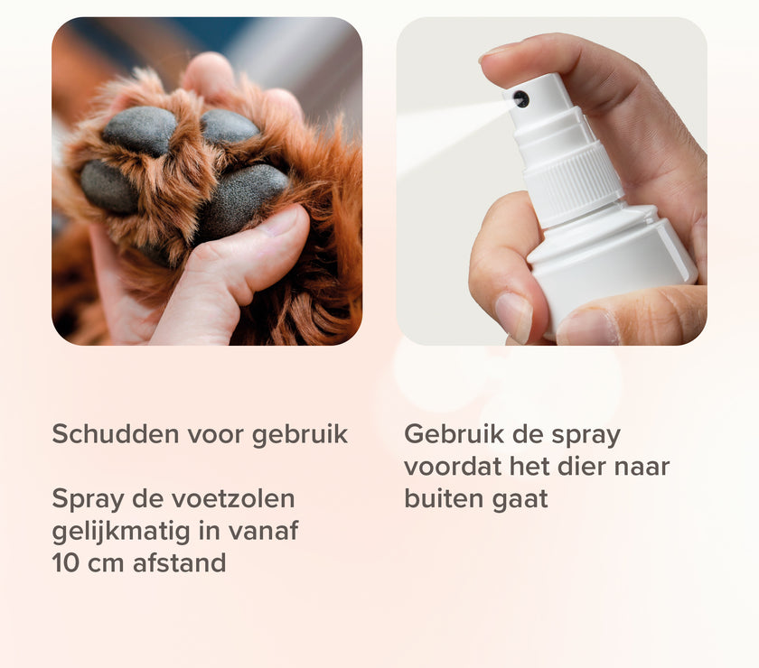 Spray plante des pieds 150ml 