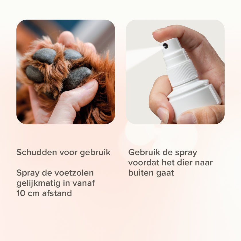 Spray plante des pieds 150ml 