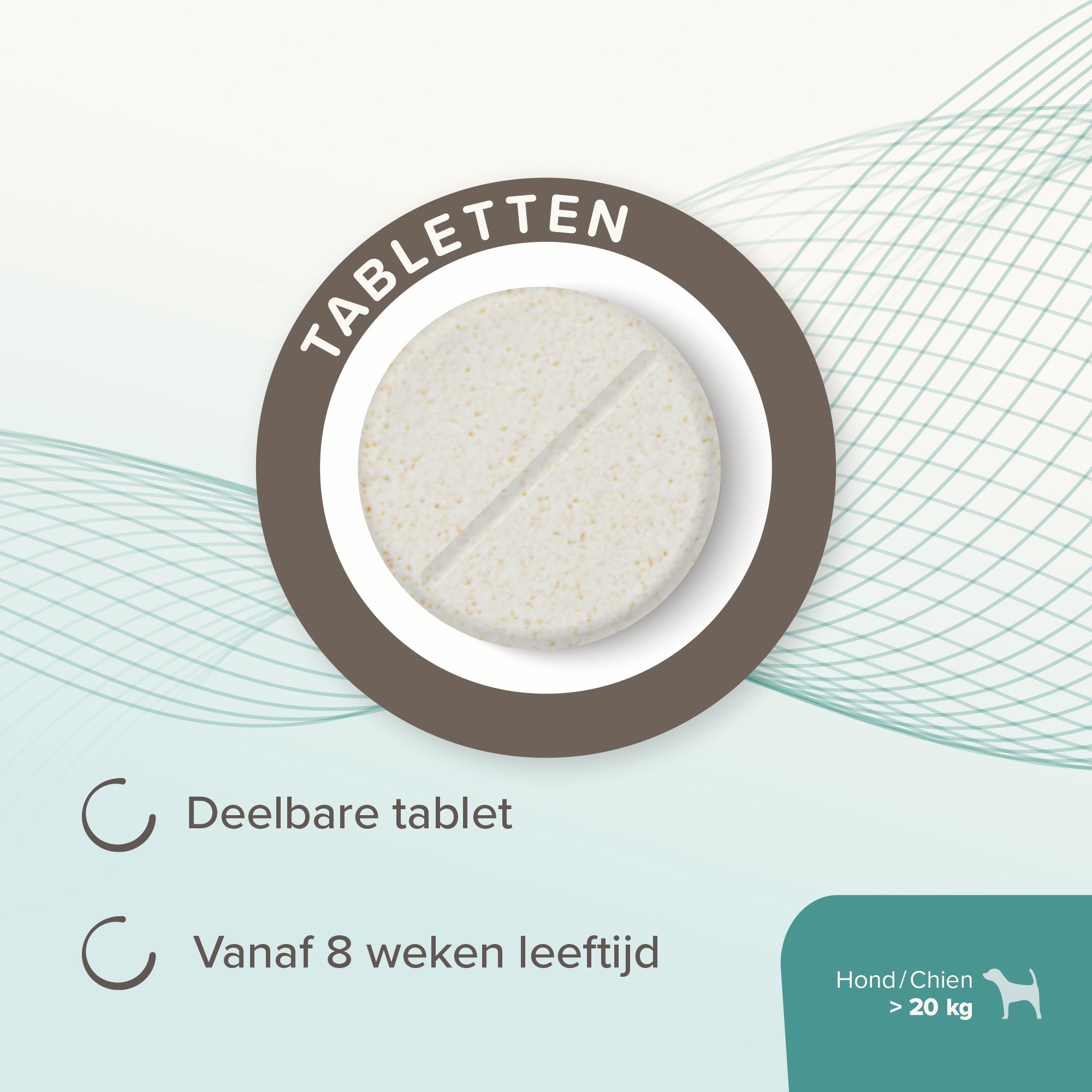 Intestopro Tablets Dog M/L 20 pcs 