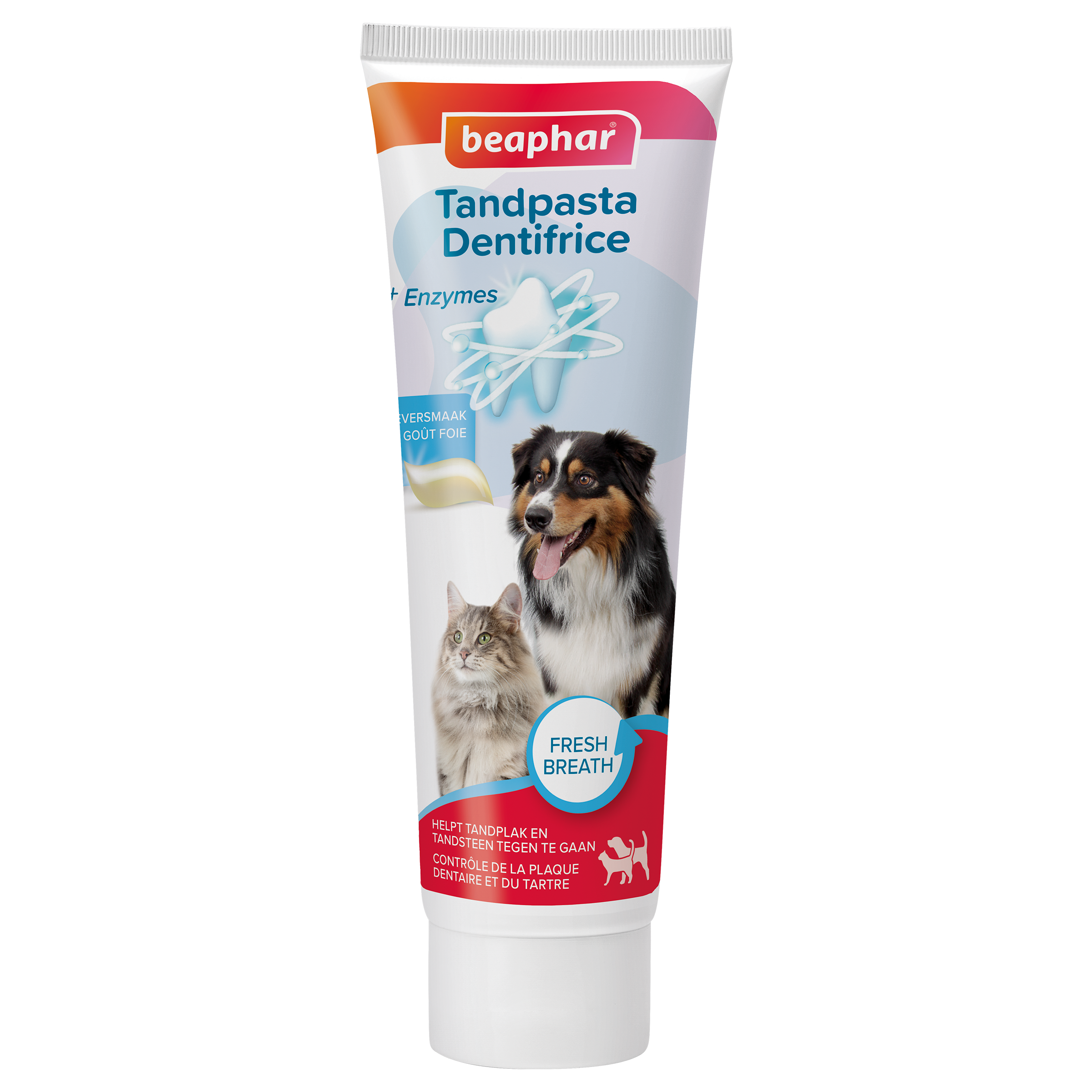 Tandgel +enzymes 100g