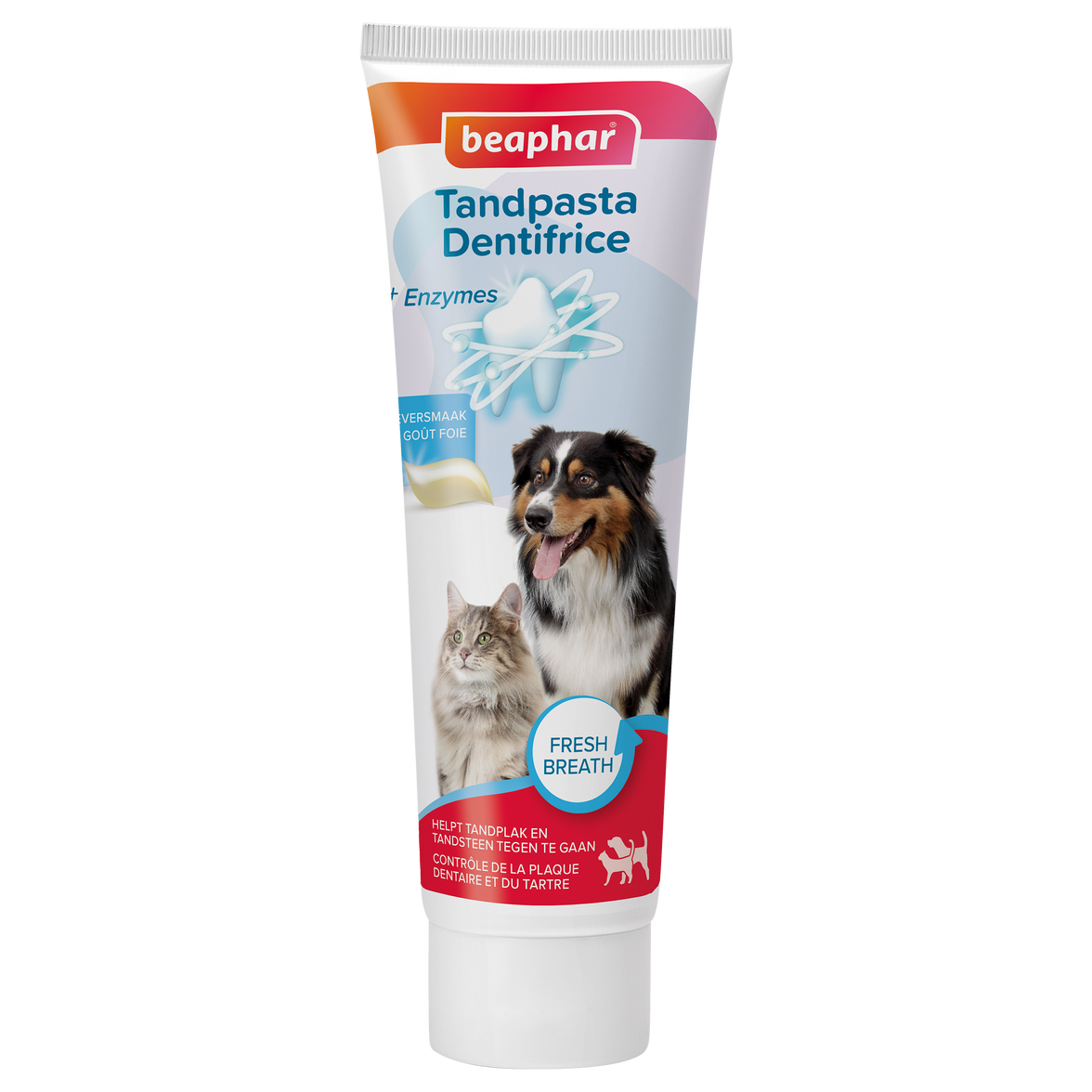Tandgel +enzymes 100g