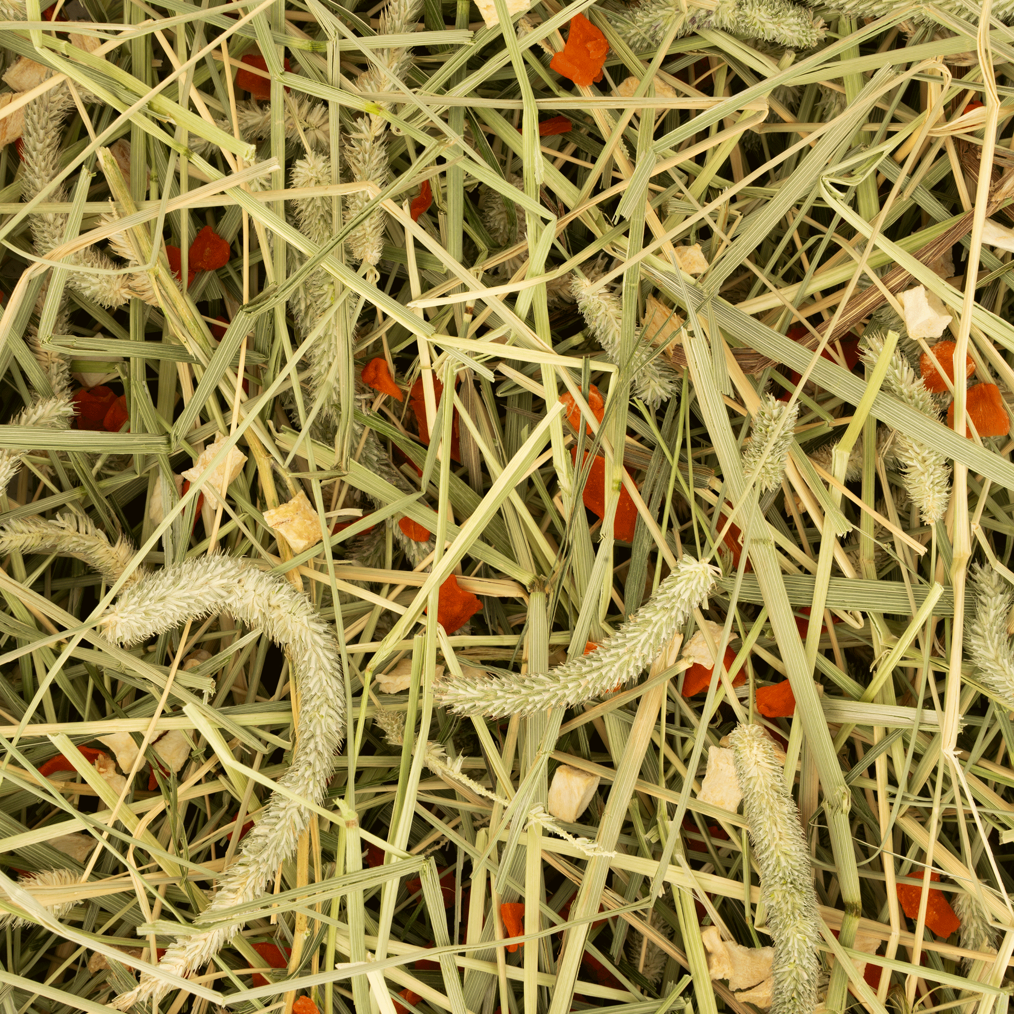 Timothy-Hooi - Wortel & Pastinaak Rodelicious 600g