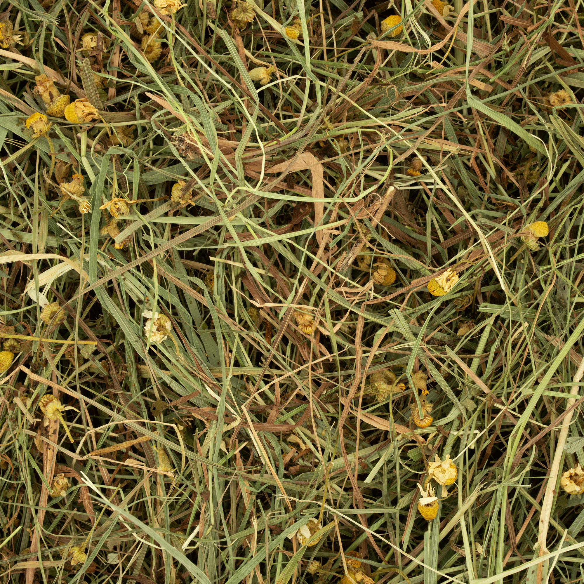 Kruidenhooi - Madelief & Paardenbloem Rodelicious 600g