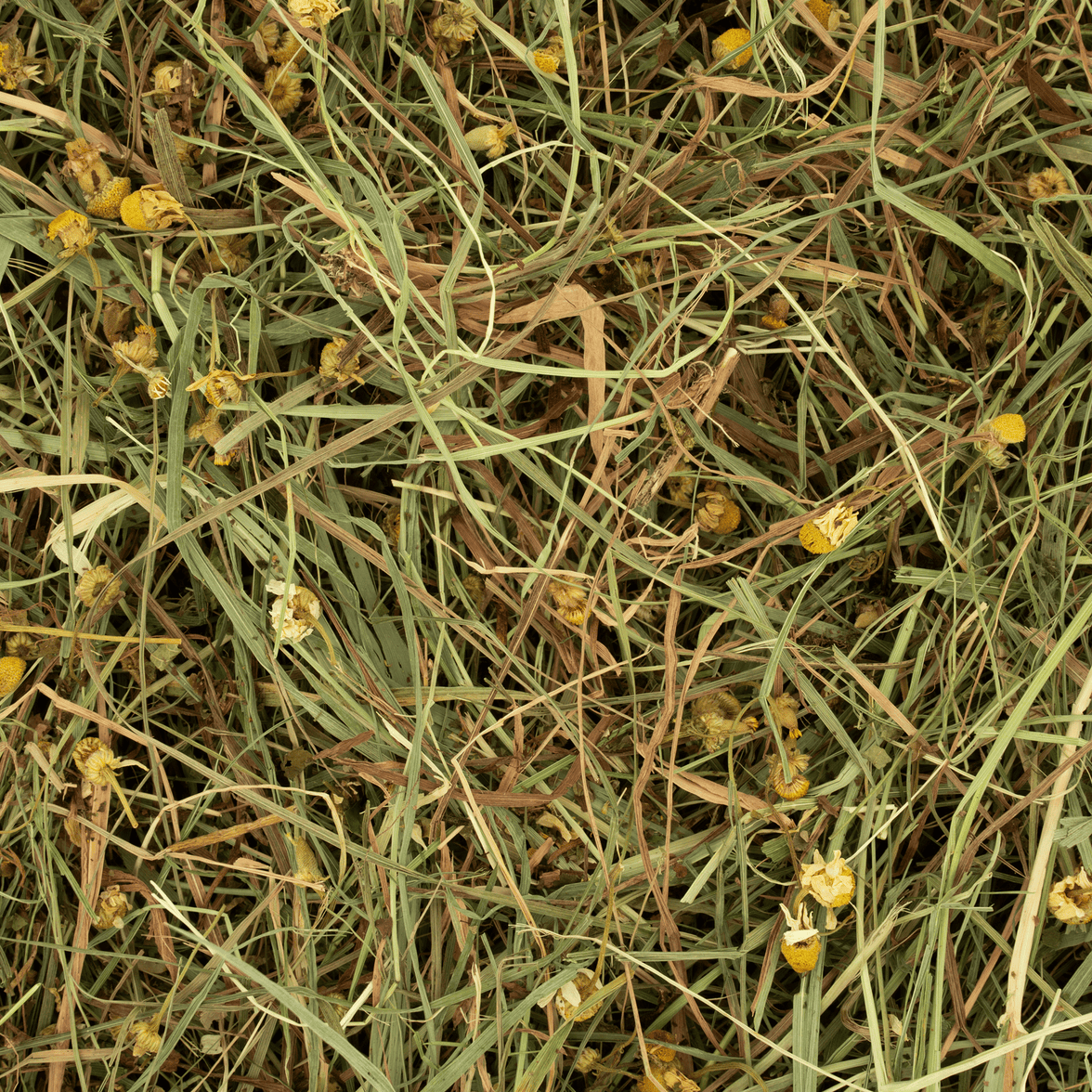 Kruidenhooi - Madelief & Paardenbloem Rodelicious 600g