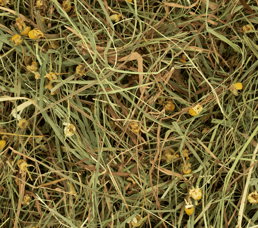 Kruidenhooi - Madelief & Paardenbloem Rodelicious 600g