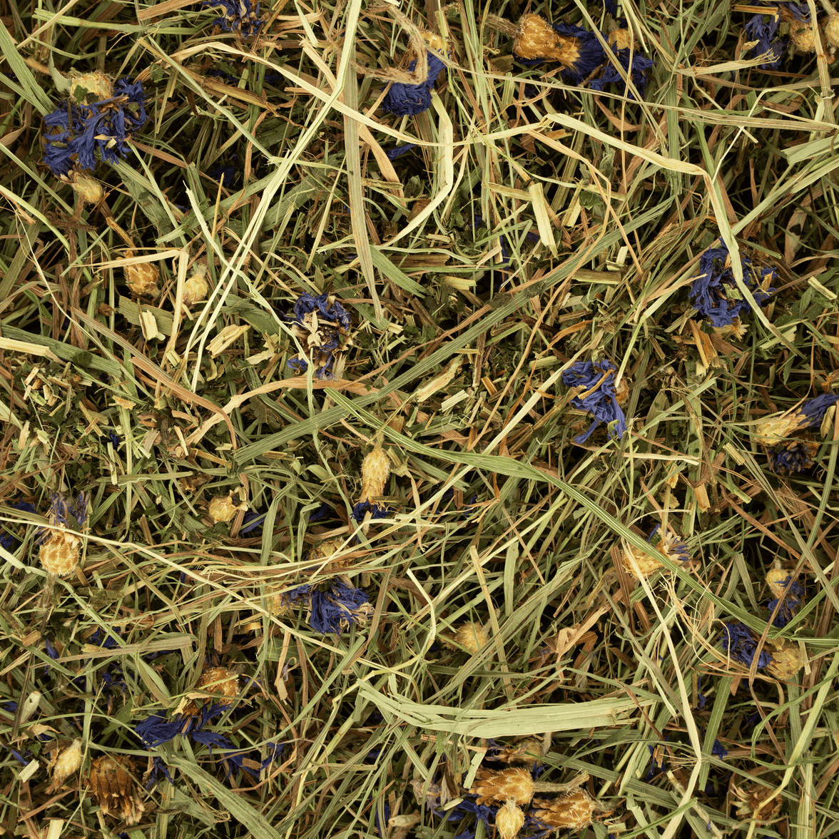 Kruidenhooi - Korenbloem & Brandnetel Rodelicious 600g