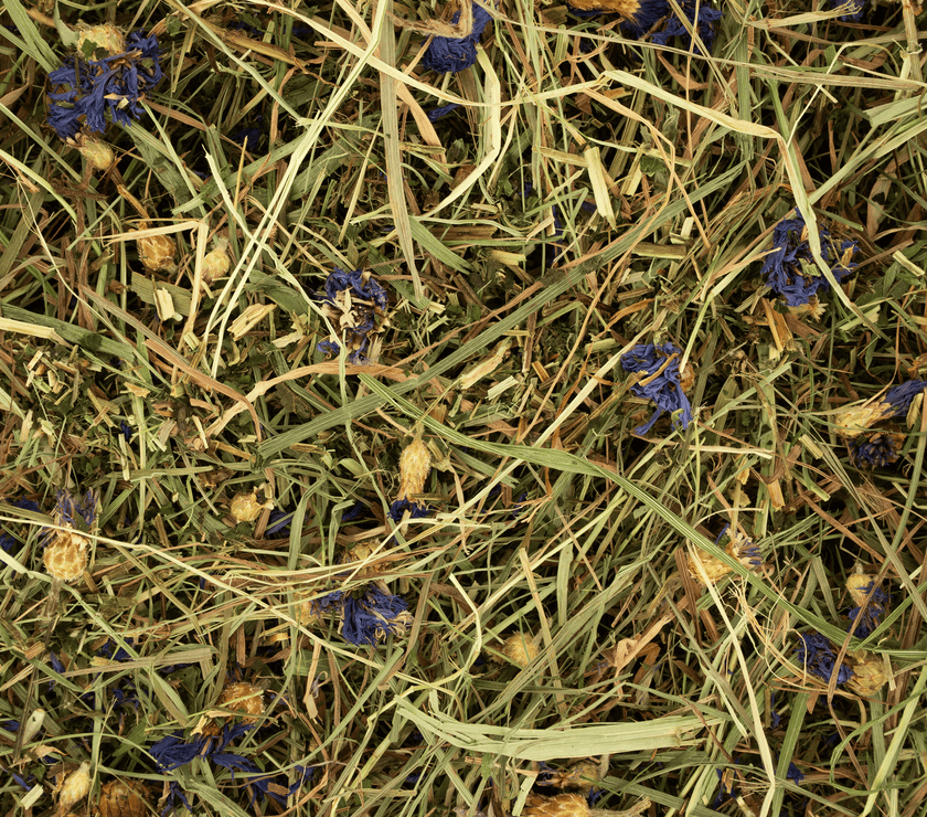 Kruidenhooi - Korenbloem & Brandnetel Rodelicious 600g