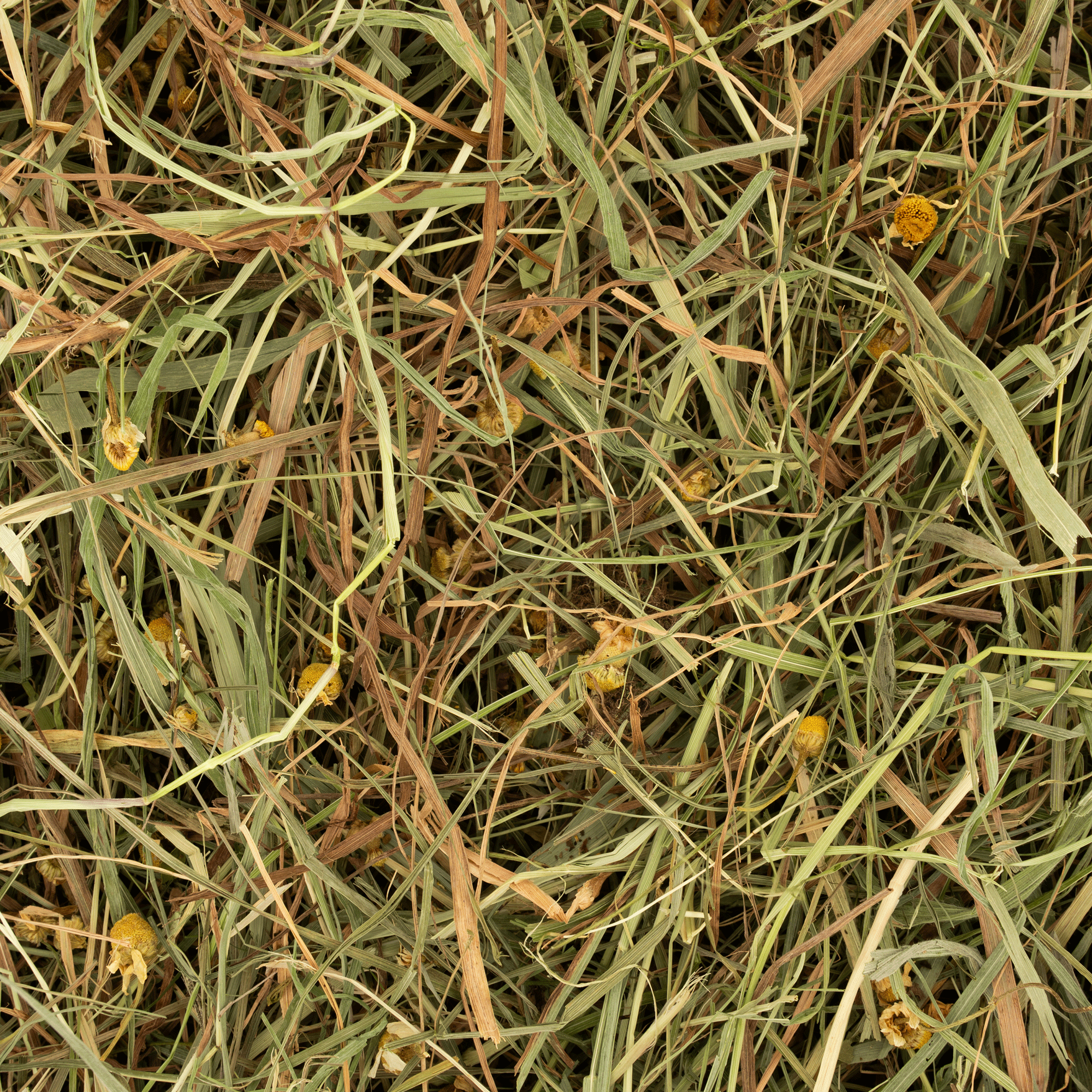 Kruidenhooi - Kamille & Munt Rodelicious 600g