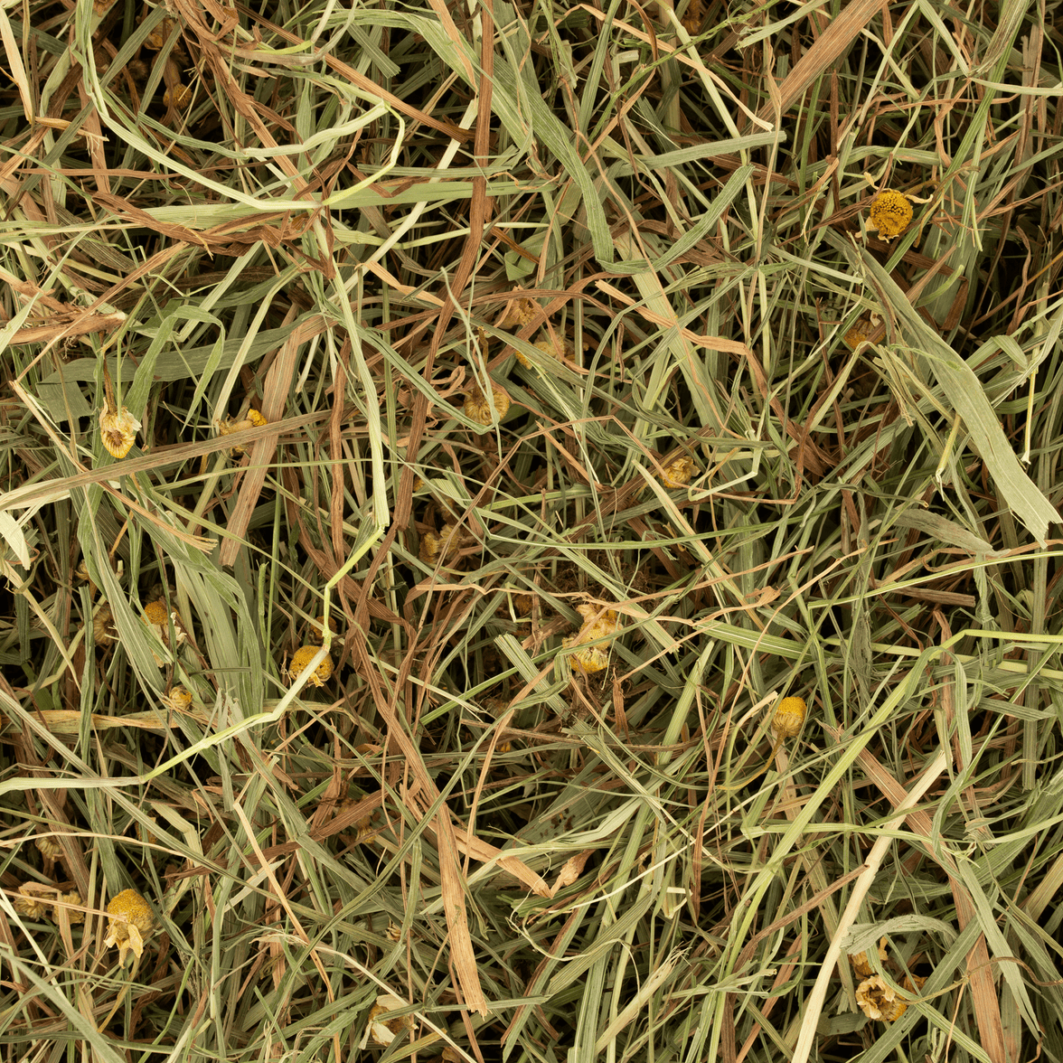 Kruidenhooi - Kamille & Munt Rodelicious 600g