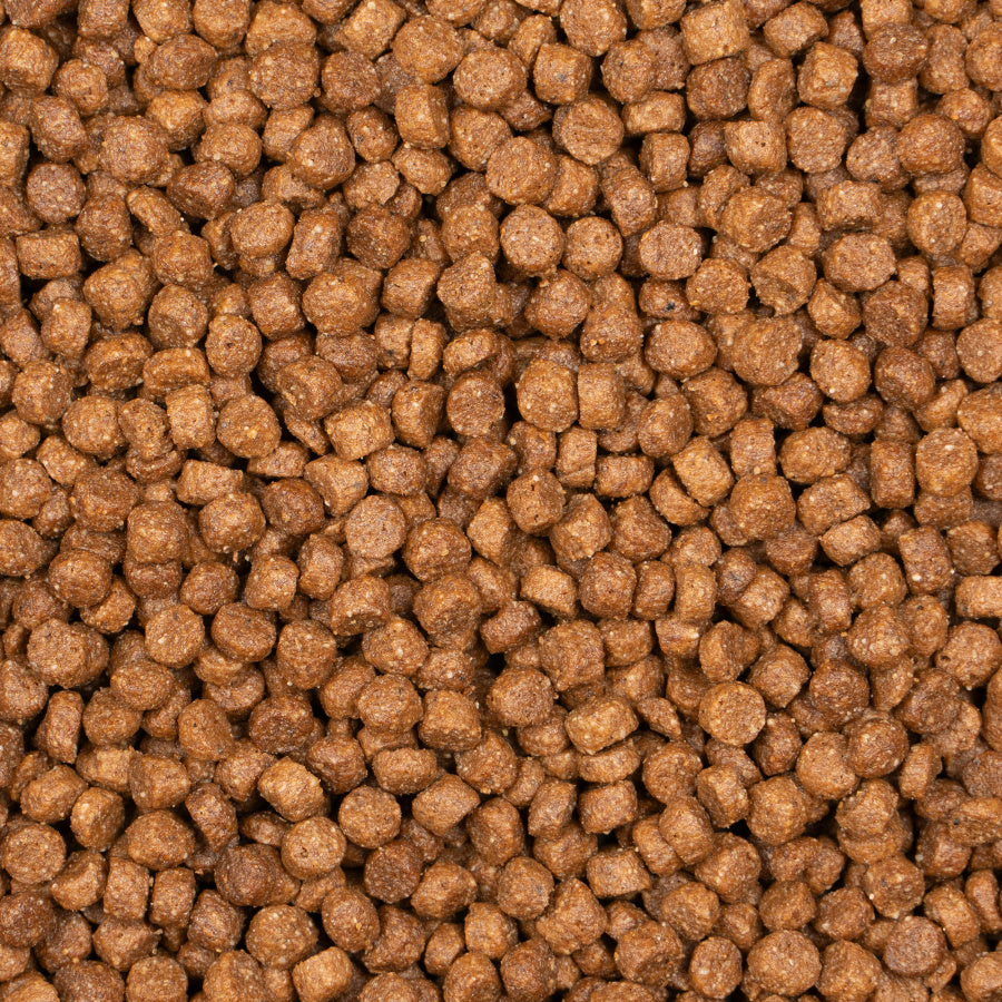 Kitten Complete Chicken 2kg