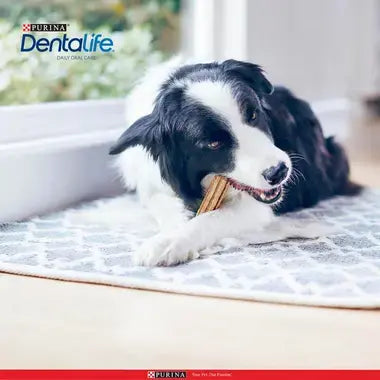 Dentalife® kauwsticks voor kleine honden tussen 7 en 12 kg