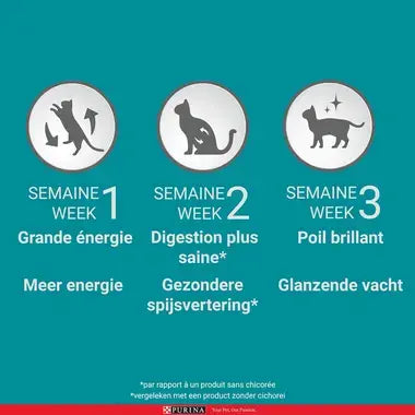ONE® Adult Rijk aan Kip