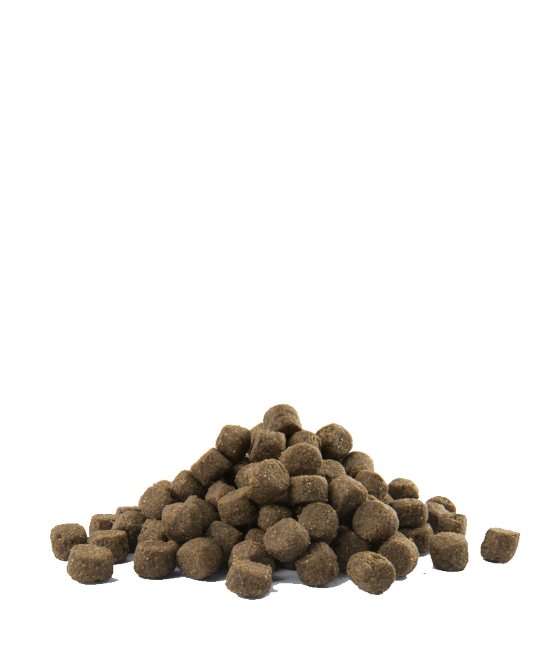 Opti Life Prime Adult Salmon 