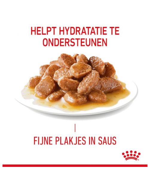 Hair & Skin Care in Gravy (brokjes in saus) 12x85g