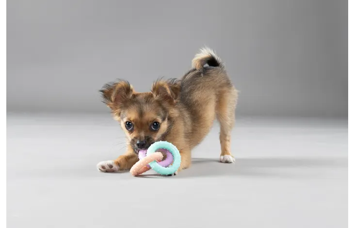 Speelgoed Puppy Loekie Olifant & Been & Ring Meerkleurig