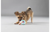 Speelgoed Puppy Loekie Olifant & Been & Ring Meerkleurig