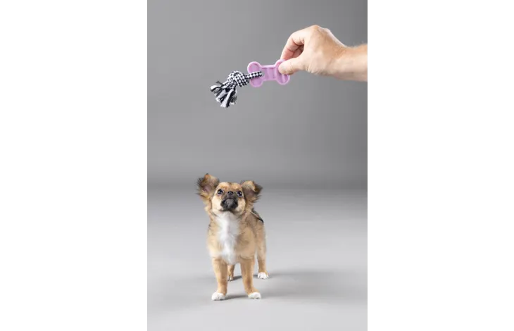 Speelgoed Puppy Loekie Olifant & Been & Ring Meerkleurig