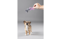 Speelgoed Puppy Loekie Olifant & Been & Ring Meerkleurig