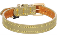 Halsband Virginia  Leder XS/S 24-30cm 15mm Meerkleurig