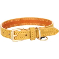 Halsband Virginia  Leder XS/S 24-30cm 15mm Meerkleurig