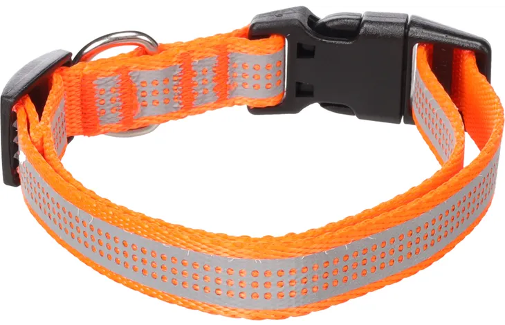 Halsband Fierro Fluo oranje
