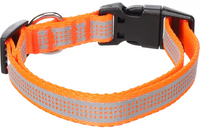 Halsband Fierro Fluo oranje
