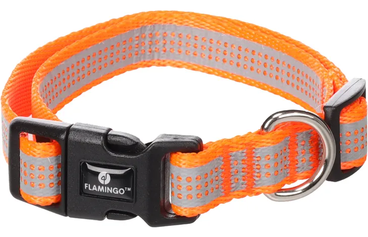 Halsband Fierro Fluo oranje