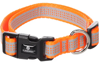 Halsband Fierro Fluo oranje