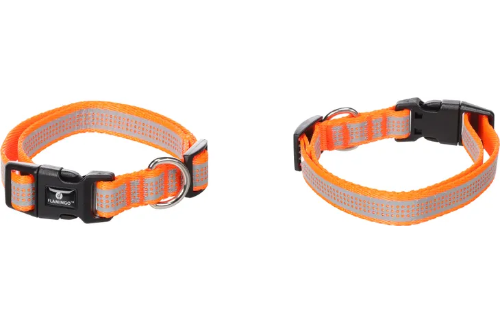 Halsband Fierro Fluo oranje