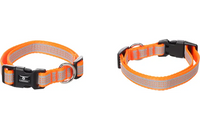 Halsband Fierro Fluo oranje