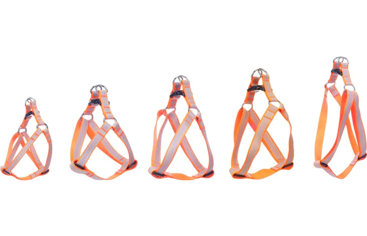 Harnas Step&Go Fierro Fluo oranje
